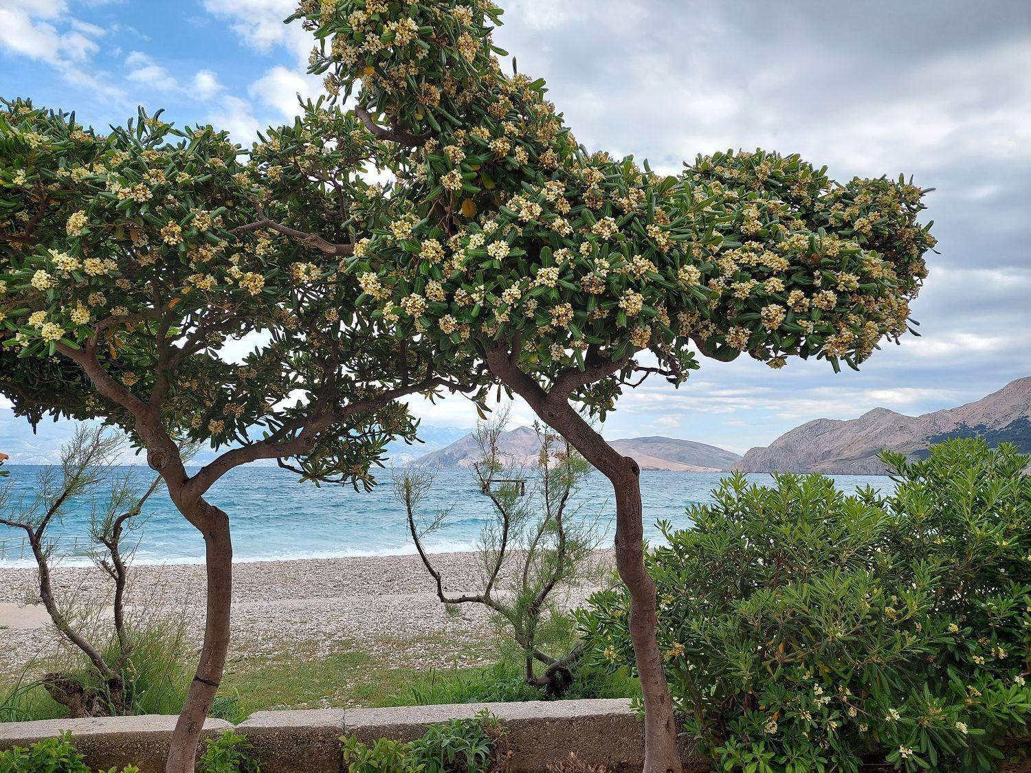 Erste Reihe Zum Meer Baska  Exterior photo